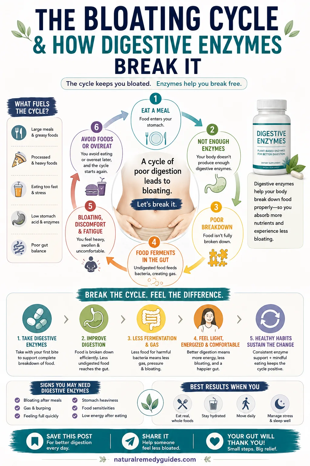 Digestive Enzymes for Bloating