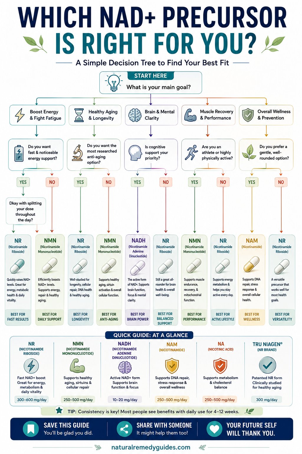 NAD Precursor Supplement - Decision guide comparing NMN, NR, and mitochondrial vitality formulas